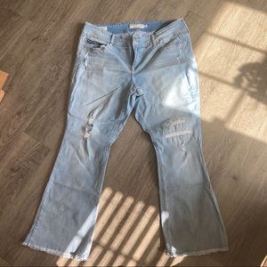 Torrid Jeans